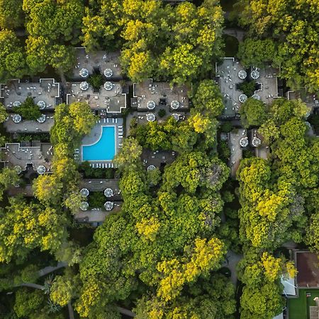 Balmy Foresta بيلديبي المظهر الخارجي الصورة