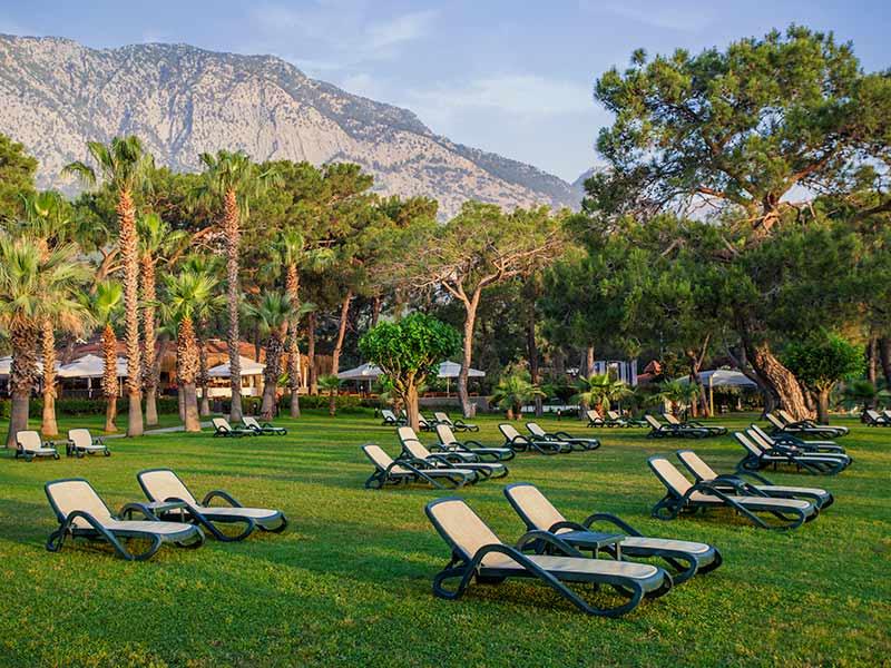 Balmy Foresta بيلديبي المظهر الخارجي الصورة