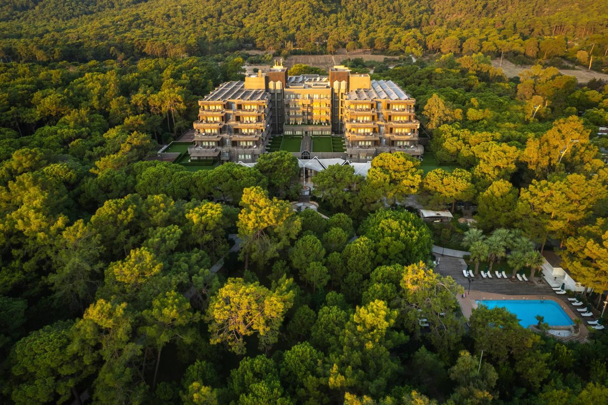 Balmy Foresta بيلديبي المظهر الخارجي الصورة