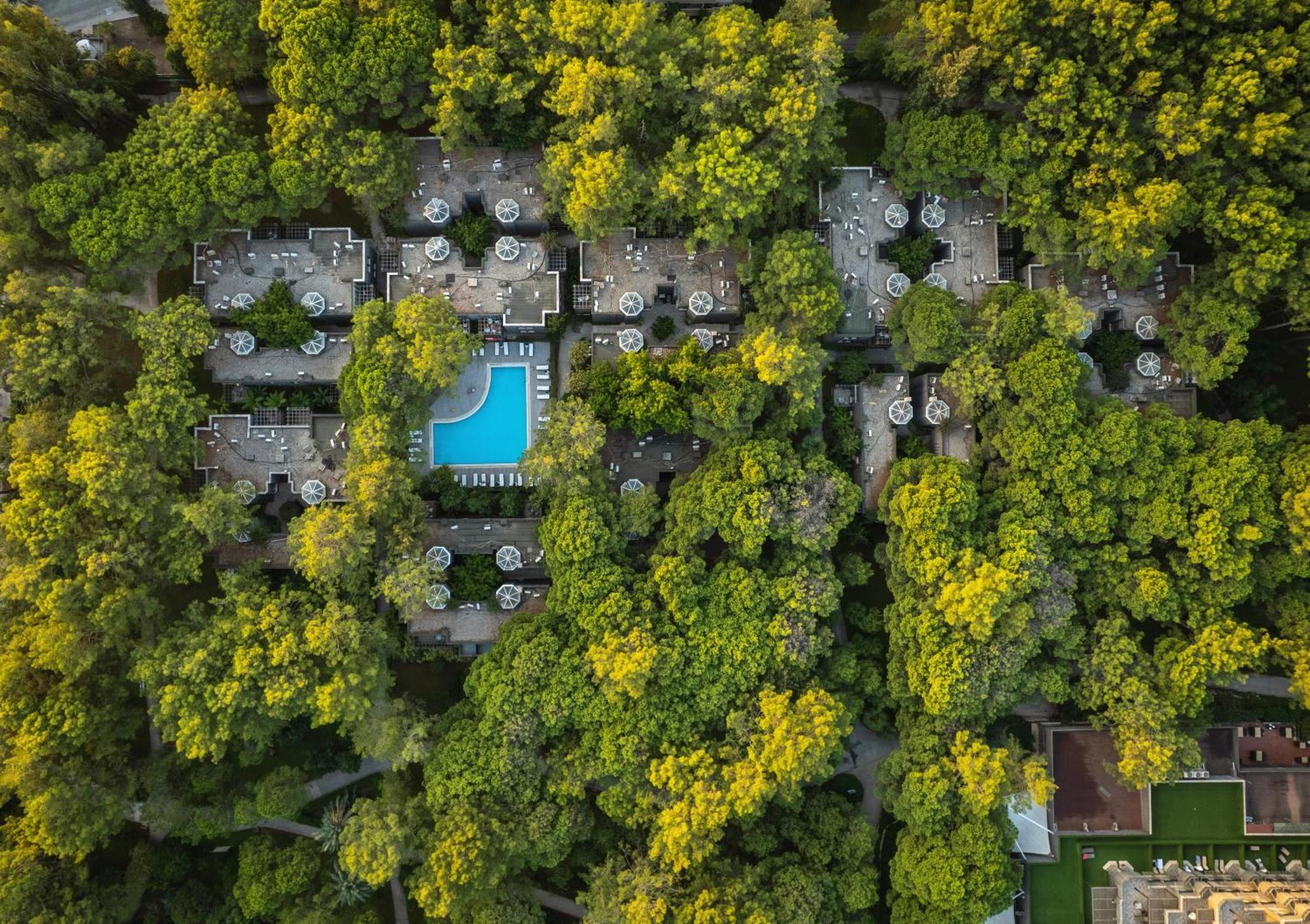 Balmy Foresta بيلديبي المظهر الخارجي الصورة